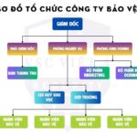 so do to chuc cong ty bao ve