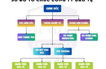so do to chuc cong ty bao ve