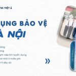 cong ty vsc viet a tuyen bao ve tai ha noi