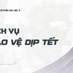 bao ve dip tet vsc viet a