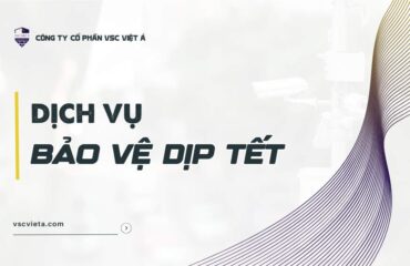 bao ve dip tet vsc viet a